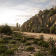 Image for article titled Forza Horizon 5 Is Very Proud Of Its Mexican Cactus Needles